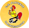 https://img.clayares.net/img/football/team/63b0933cc303927659846a4ed54b1522.png